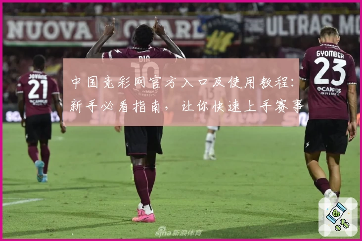 中国竞彩网官方入口及使用教程：新手必看指南，让你快速上手赛事分析平台