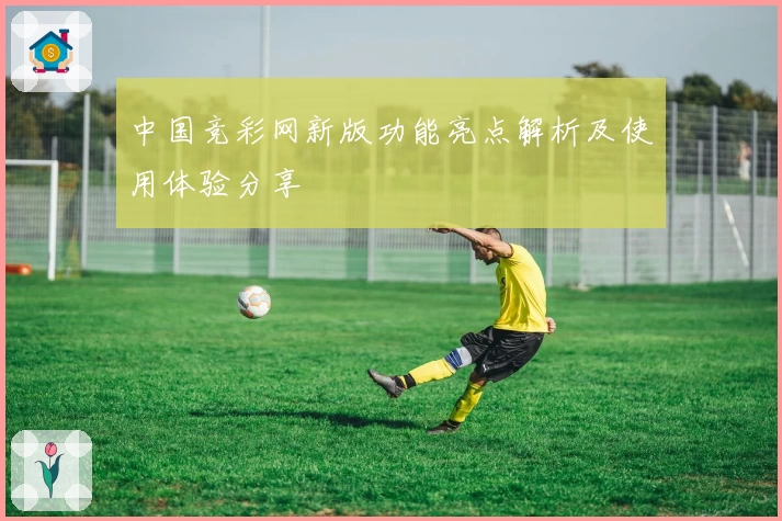中国竞彩网新版功能亮点解析及使用体验分享