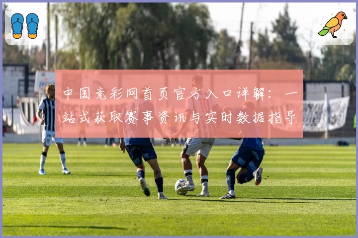 中国竞彩网首页官方入口详解：一站式获取赛事资讯与实时数据指导