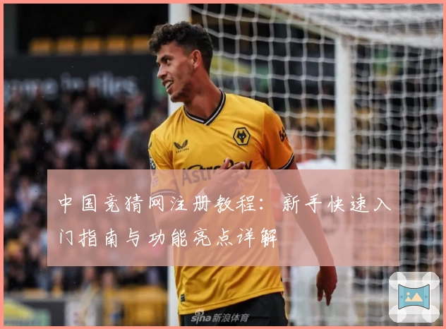 中国竞猜网注册教程：新手快速入门指南与功能亮点详解