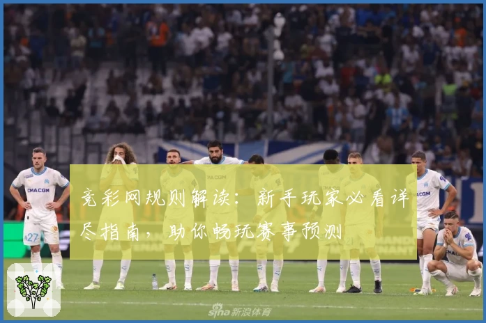 竞彩网规则解读：新手玩家必看详尽指南，助你畅玩赛事预测